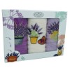 Set 3 prosoape bucatarie bumbac 100% cu broderie lavanda, culori mov și alb